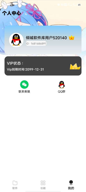 倾城软件库app分类详情界面预览，展示软件分类与下载入口